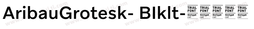 AribauGrotesk- BIklt字体转换